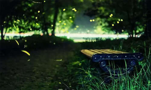 最后的同信府，最后的市中心庭院洋房