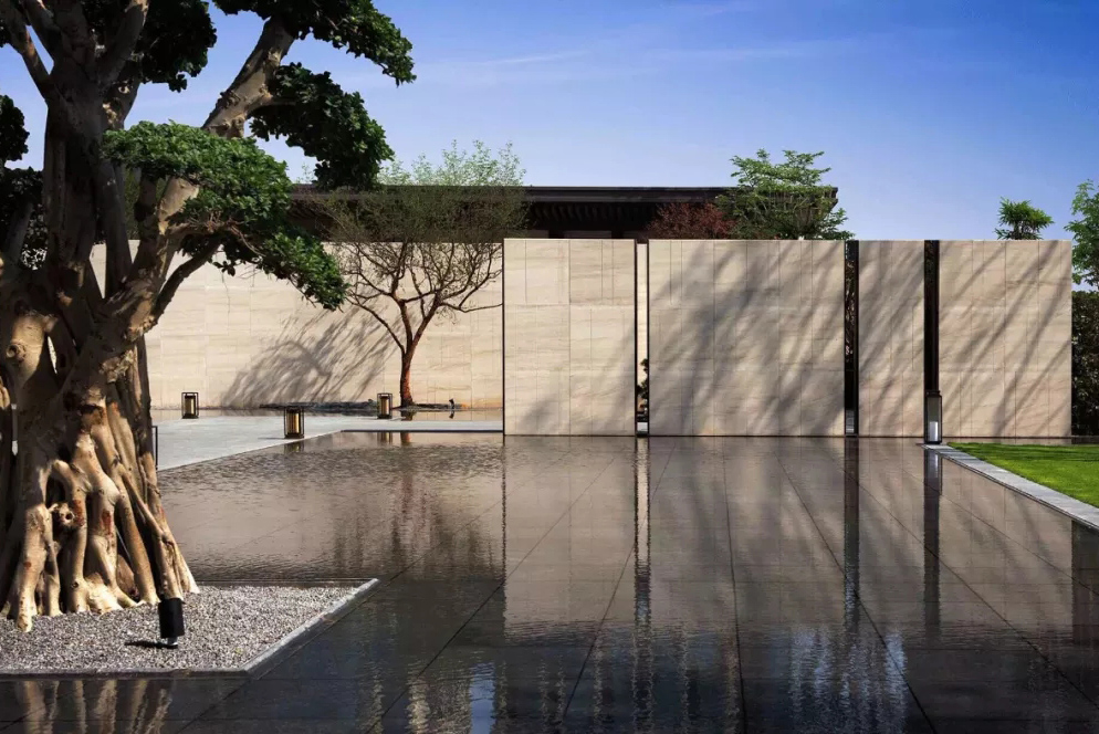 心之所向，桃花源！