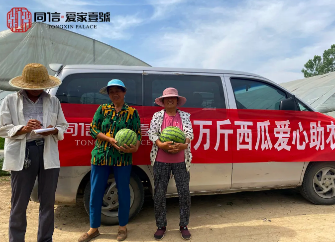 瓜甜心更甜|同信·愛(ài)家壹號(hào)采購(gòu)萬(wàn)斤西瓜愛(ài)心助農(nóng)在行動(dòng)！