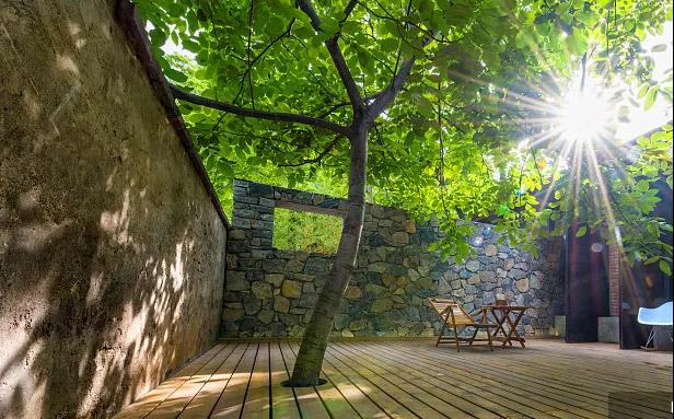 同信·愛(ài)家壹號(hào)|曾經(jīng)江湖策馬，如今院里觀花！