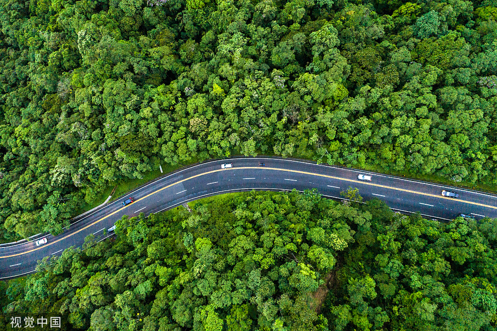 福利請查收丨點亮團圓路，與愛相伴同心同行！