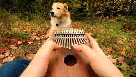 河畔有約丨看見指尖藝術(shù)，聆聽幻彩音符！